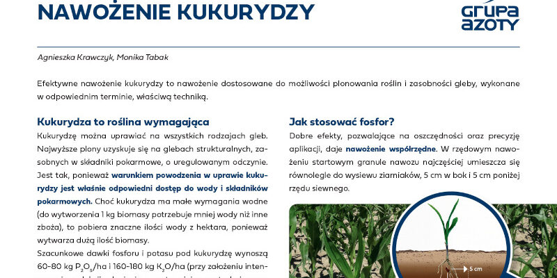 Nawożenie kukurydzy